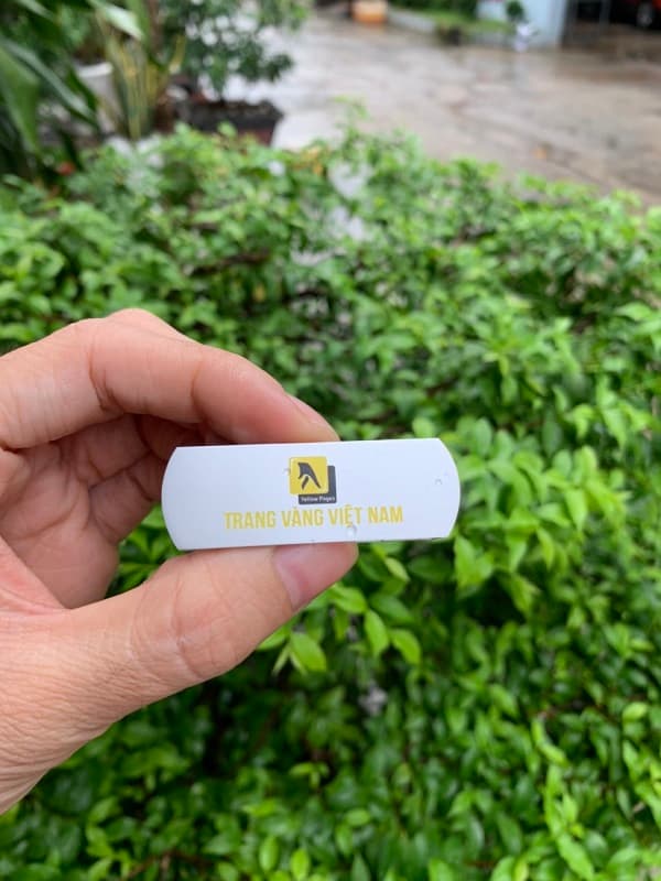 USB in logo Trang Vàng Việt Nam